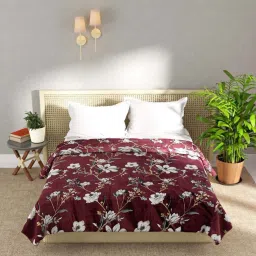 Bianca Nautical Brown Microfibre 250 GSM Double Bed Blanket image 1