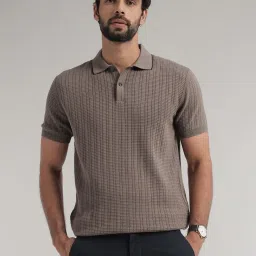 Andamen Brown Cotton Regular Texture Polo T-Shirt image 1