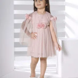 Peppermint Kids Peach Net Regular Fit 1 Dress image 1