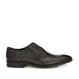 Carlo Romano Men's Brown Derby Shoes-picture-39