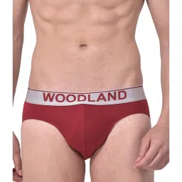 Woodland Maroon Printed Briefs image 1
