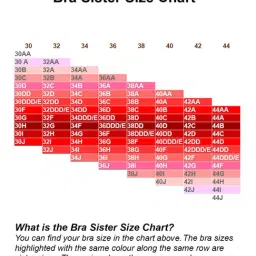 Soie Multicolor Non Wired Non Padded T-Shirt Bra (Pack Of 2) image 5