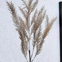 @Home Brown Plastic Artificial Filler Stick image 1