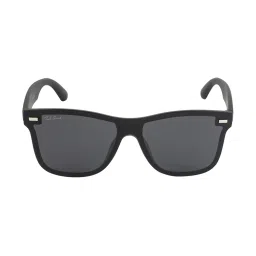 Ted Smith Grey Wayfarer Unisex Sunglasses image 2