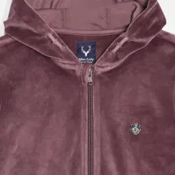 Allen Solly Kids Purple Regular Fit Hoodie image 3