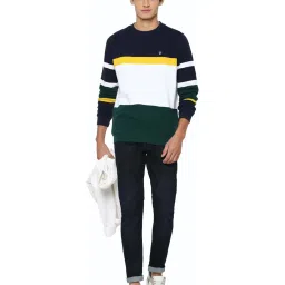 Allen Solly Multicolor Cotton Regular Fit Colour Block Sweatshirt image 5