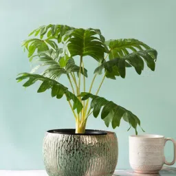 Fabindia Home Yukti Antique Brass Metal Hammered Decor Large Bowl image 1