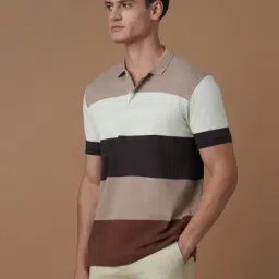 Allen Solly Multicolour Cotton Regular Fit Striped Polo T-Shirt image 3