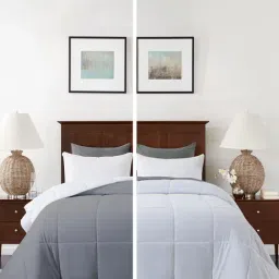 Razzai White Poly fill Basic Comforters-picture-18