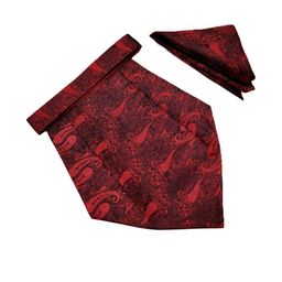 voici Paisley Design Cravats & Pocket Square Combo-picture-1