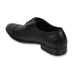 Carlton London Men's Black Derby Shoes image 5