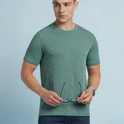 Dennis Lingo Men Textured Round Neck Half Sleeves Regular Fit T-shirt-picture-15