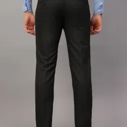 Cantabil Dark Grey Regular Fit Checks Trousers image 2
