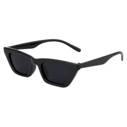 Ted Smith TS-ALLBLK_BLK Black Cat Eye Sunglasses image 1