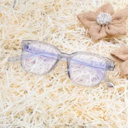 Ted Smith Grey Wayfarer Unisex Eye Frames image 1