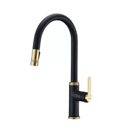 Jayna Single Lever Kitchen Mixer with Pullout Black & Gold Finish Brass, BF 15 image 1
