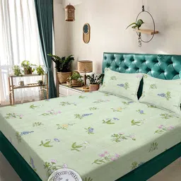 KLOTTHE Green Floral 300 TC King Bedsheet with 2 Pillow Covers-image-81