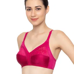 Triumph Claudette 103 Wireless Non Padded Full Coverage Support Classics Bra image 3