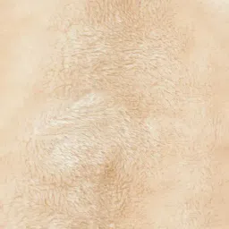 Fame Forever by Lifestyle Girls Beige Embroidery Sweatshirt image 4