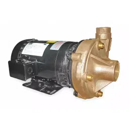 Dayton 2 HP Three Phase Centrifugal Pump, 2ZXA6-picture-33