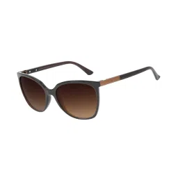 Chilli Beans OCCL34295702 Brown Cat Eye Sunglasses image 2