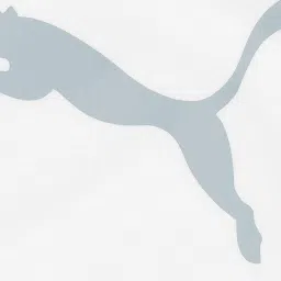 Puma Kids Modern Crew G White & Blue Cotton Color Block Full Sleeves T-Shirt image 3