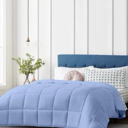 Razzai Blue Poly fill Basic Comforters-picture-12