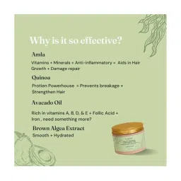 Fix My Curls Protein Powered Deep Conditioning Mask - 300 gm image 5