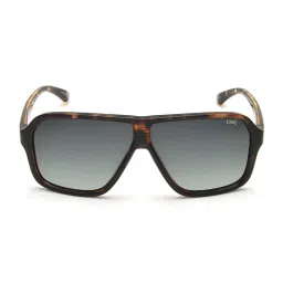 IDEE Brown Square UV Protection Sunglasses for Men image 2