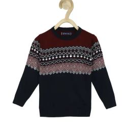allen solly junior Allen Solly Kids Multicolor Self Design Full Sleeves Sweater-picture-30