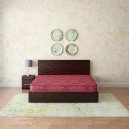 Godrej Interio Restomatic Red Bonnell Spring King Bed Mattress-image-76
