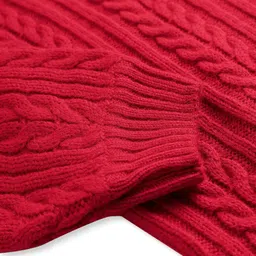 Pine Kids Knit Full Sleeves Pullover with Cable Knit Design - Red image 4