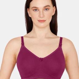 Zivame Raspberry Radiance Non Wired Non Padded Maternity Bra-picture-1