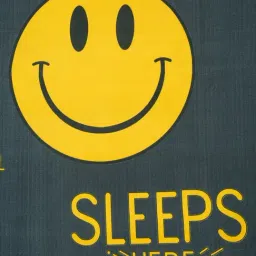 HOSTA HOMES Printed Multicolor 220 TC Glace Cotton Queen Kids Bed Sheet with 2 Pillow Covers image 3