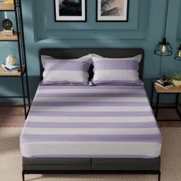 Nautica Northsail Purple 150 TC Cotton King Bedsheet with 2 Pillow Covers image 2