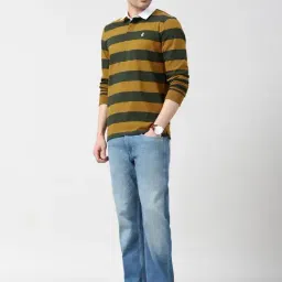 Peter England Multicolour Cotton Regular Fit Striped Polo T-Shirt image 5