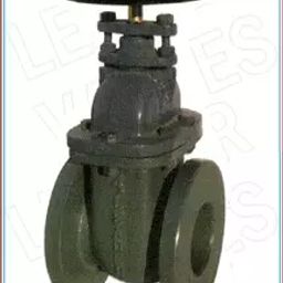 Leader Cast Iron Gate Valve 65 mm Class 125-picture-19