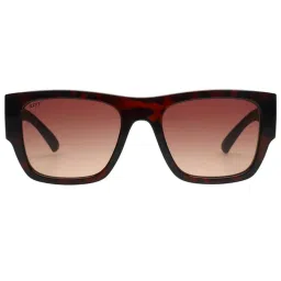 SCOTT Brown Wayfarer UV Protection Unisex Sunglasses image 2