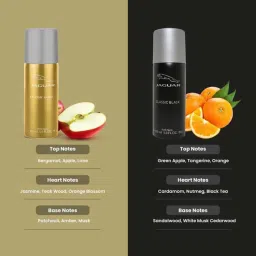 Jaguar Classic Gold & Classic Black Deo Combo Set image 2