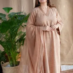 The Indian Ethnic Co Light Brown Drop Butti Dabu Kota Doriya Border Dupatta-picture-19