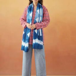 Fabindia Blue Printed Stole-picture-1