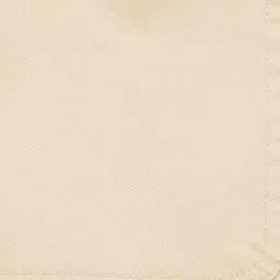 Fame Forever By Lifestyle Beige Regular Fit Dress image 4