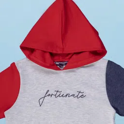 Purple United Kids Boys Colourblocked Hooded Cotton Sweatshirt image 4