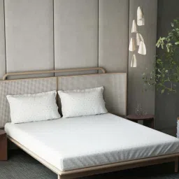 DDecor Celery Green Cotton 144 TC 2Pcs King Bedsheet with 4 Pillow Covers image 2