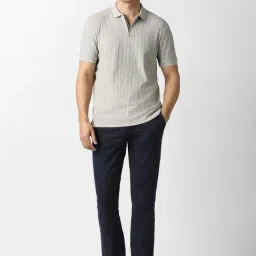 Van Heusen Grey Regular Fit Polo T-Shirt image 5