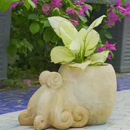 Swadeh Brown Clay Octopus Planter Pot image 1