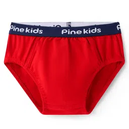 Pine Kids Cotton Lycra Briefs Pack of 3 (Color May Vary) image 4