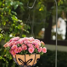 Garden King 2-Pcs Black & Brown Coir Hanging Basket Planter With Metal DetachableHanger image 5