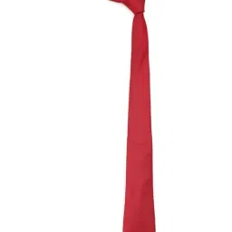 Peter England Pink Tie image 2