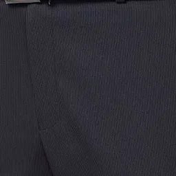 Park Avenue Black Regular Fit Striped Flat Front Trousers image 4